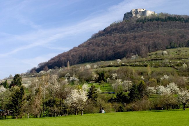 Die Burgruine Hohenneuffen. Die Burgruine Hohenneuffen.