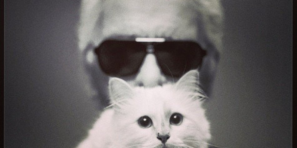 Karl Lagerfeld möchte seine Katze heiraten Karl Lagerfeld möchte seine Katze heiraten