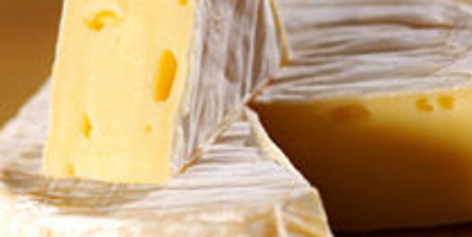 Camembert mit Salbeipanade auf Salat Camembert mit Salbeipanade auf Salat