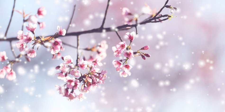 Nach Wintereinbruch im April: Wie lange müssen wir noch auf den Frühling warten? Nach Wintereinbruch im April: Wie lange müssen wir noch auf den Frühling warten?