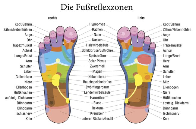 Füße Reflexzonen