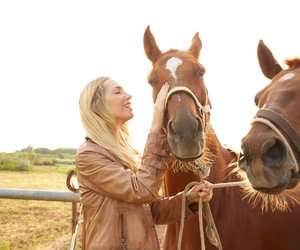 Das Hobby zum Beruf machen: Wie wird man Pferdewirt?
