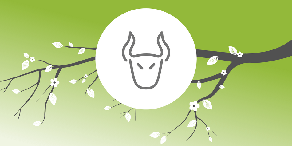 Stier Stier