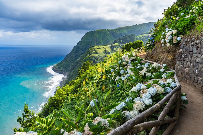 Costal path with Hydrangeas, Sao Miguel, Azores, Portugal Costal path with Hydrangeas, Sao Miguel, Azores, Portugal
