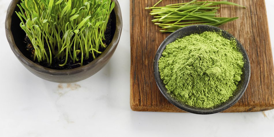 Weizengraspulver – gesundes Superfood? Weizengraspulver – gesundes Superfood?