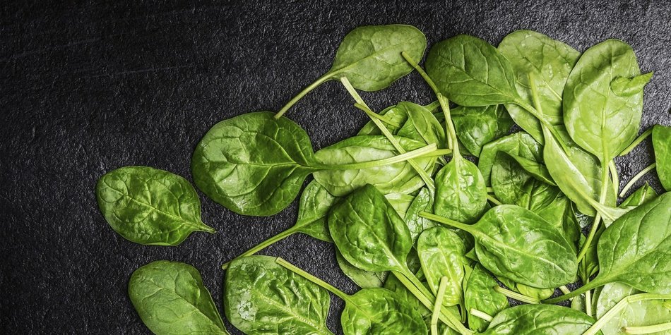 Spinat: Grün, stark, lecker Spinat: Grün, stark, lecker