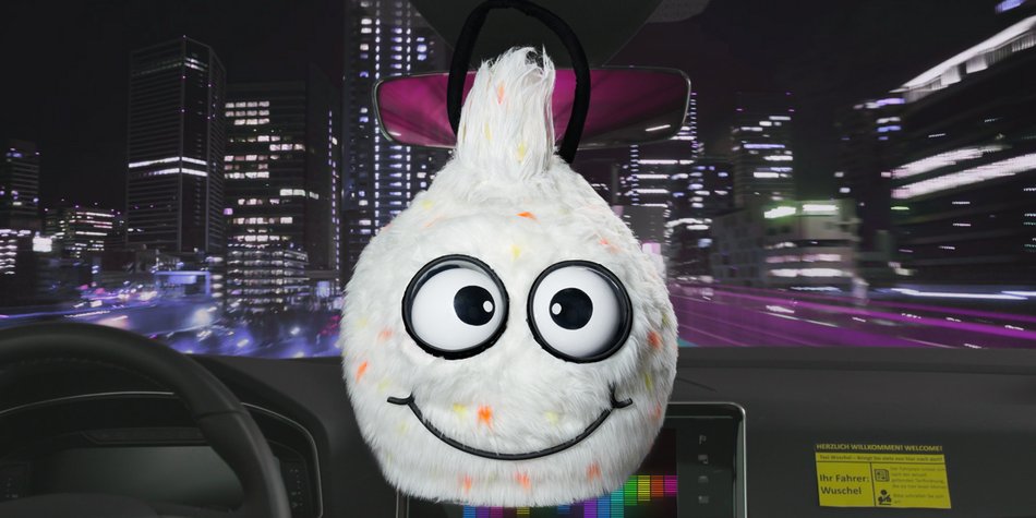 Dieser Sänger versteckt sich bei „The Masked Singer“ hinter Wuschel Dieser Sänger versteckt sich bei „The Masked Singer“ hinter Wuschel