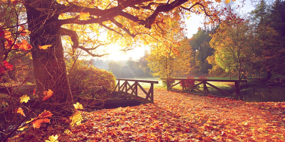 Hoch Nila bringt den goldenen Oktober – doch bis wann bleibt er? Hoch Nila bringt den goldenen Oktober – doch bis wann bleibt er?
