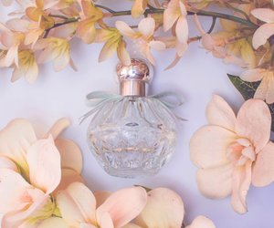 Parfums mit Message: Diese Düfte sind die perfekten Geschenke für starke Frauen