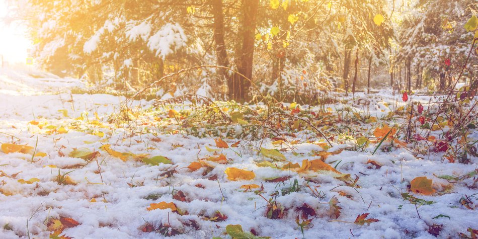 Schock-Prognose für das Wetter: Bringt der Oktober Frost und Schnee? Schock-Prognose für das Wetter: Bringt der Oktober Frost und Schnee?