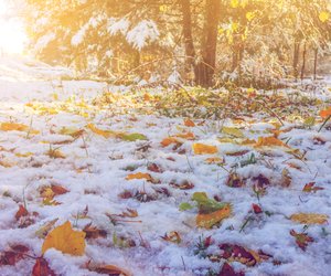 Schock-Prognose für das Wetter: Bringt der Oktober Frost und Schnee?