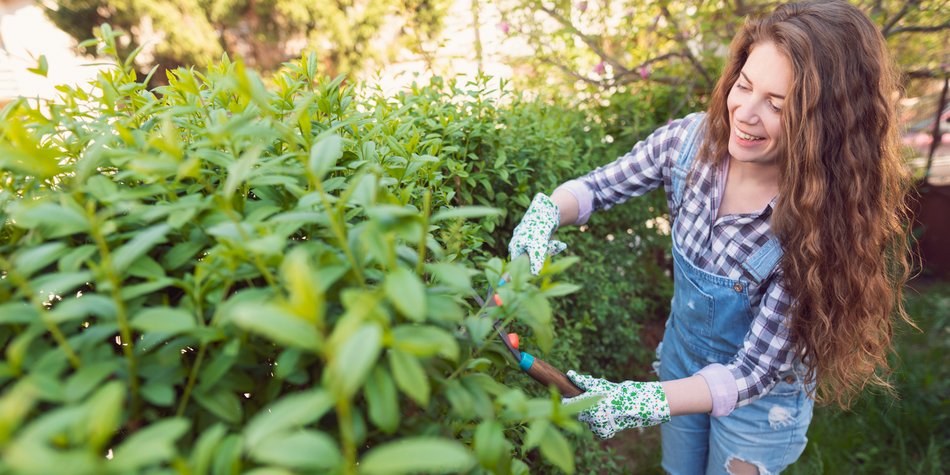 So viele Kalorien verbrauchst du bei der Gartenarbeit! So viele Kalorien verbrauchst du bei der Gartenarbeit!