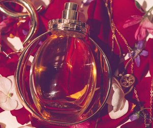 Neue Parfums 2024: Diese unwiderstehlichen Düfte stehen jetzt auf unserer Wishlist 