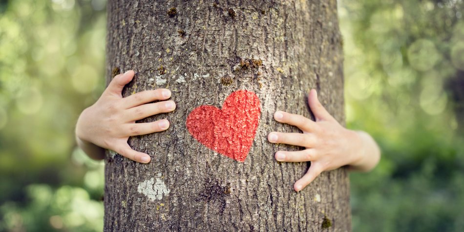 Bayrischer Hochzeitsbrauch: Was ist ein Kindsbaum? Bayrischer Hochzeitsbrauch: Was ist ein Kindsbaum?