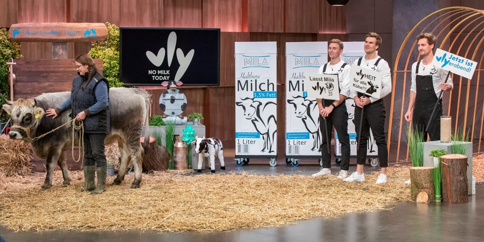 Erbsenmilch von vly: Auch ohne Deal erfolgreich in den Läden Erbsenmilch von vly: Auch ohne Deal erfolgreich in den Läden