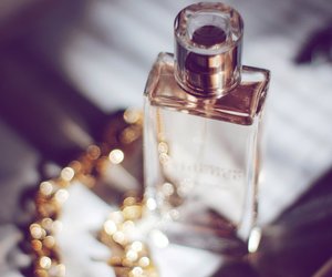 Diese drei Parfums lassen dich reich riechen, aber sind in Wahrheit günstig!