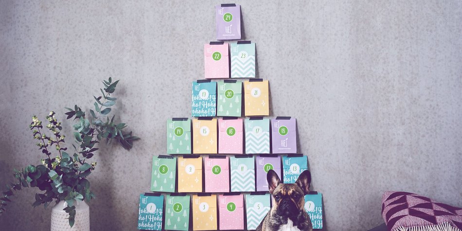 Fitness Adventskalender 2020: Die besten Kalender für Protein-Fans Fitness Adventskalender 2020: Die besten Kalender für Protein-Fans