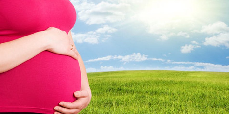 Dein Baby im 3. Trimester Dein Baby im 3. Trimester