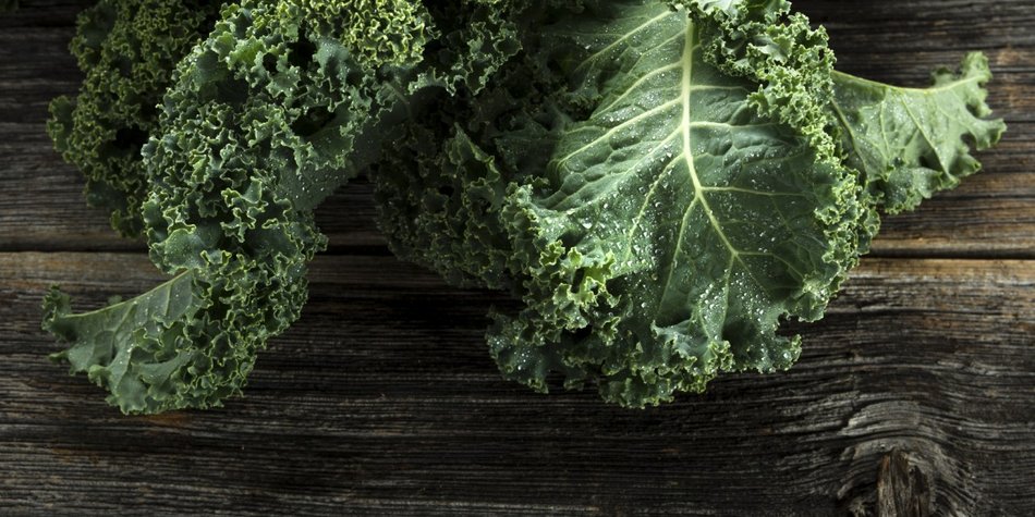 Grünkohl, das unverstandene Superfood Grünkohl, das unverstandene Superfood