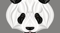 Panda-Tattoo: Bedeutung und Motiv-Vorlagen