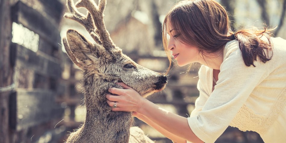 Zoo bietet Valentinstag für Singles an Zoo bietet Valentinstag für Singles an