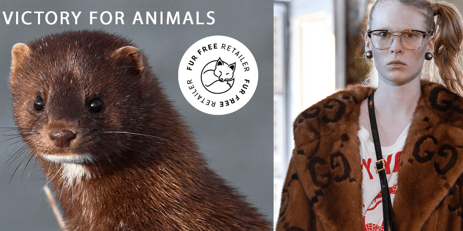 Ab 2018 endlich kein Echtpelz mehr bei Gucci Ab 2018 endlich kein Echtpelz mehr bei Gucci