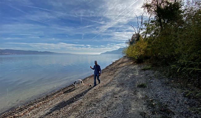 Hund am Bodensee. Hund am Bodensee.