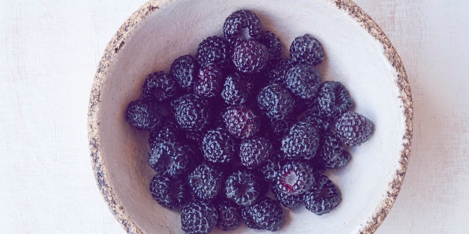 So gesund sind Brombeeren für dich! So gesund sind Brombeeren für dich!