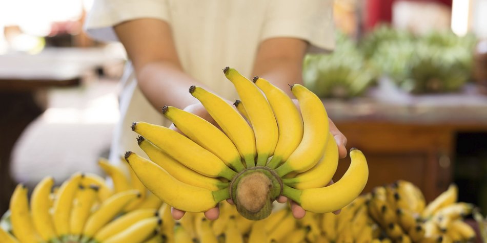 Freelee The Banana Girl isst 51 Bananen am Tag Freelee The Banana Girl isst 51 Bananen am Tag