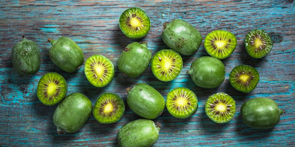 Warum Kiwibeeren besser als Kiwis sind Warum Kiwibeeren besser als Kiwis sind