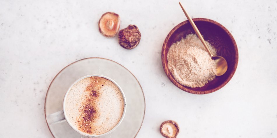 Reishi, Chaga und Co.: Wie du mit Vitalpilzen fitter wirst Reishi, Chaga und Co.: Wie du mit Vitalpilzen fitter wirst