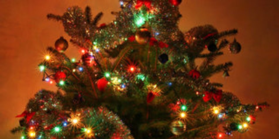 Die Weihnachtsbäume Die Weihnachtsbäume