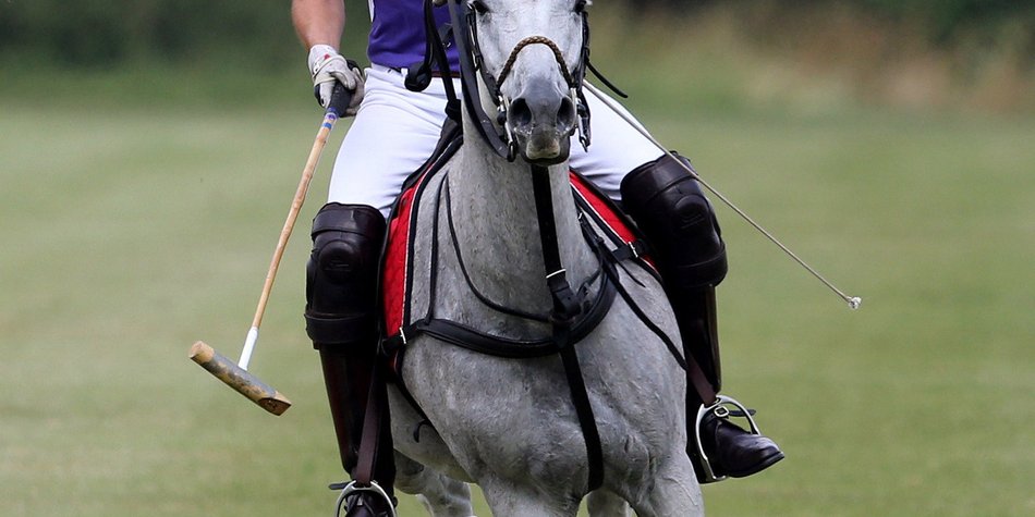 Prinz William: Polo statt Windeln wechseln Prinz William: Polo statt Windeln wechseln