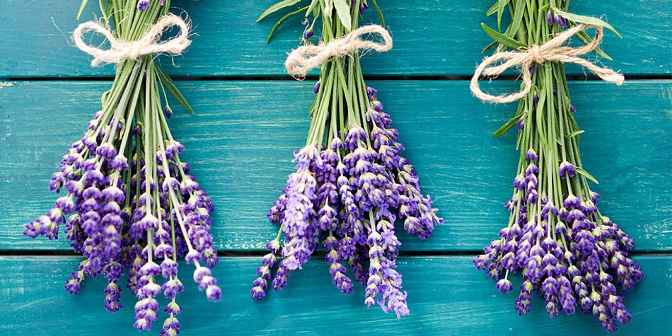 Lavender Dreams: Unsere liebsten Beauty-Produkte mit Lavendel Lavender Dreams: Unsere liebsten Beauty-Produkte mit Lavendel