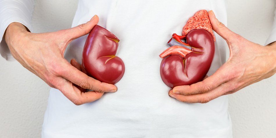 In Niederlanden wird man automatisch Organspender In Niederlanden wird man automatisch Organspender