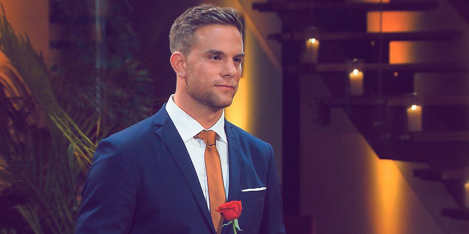 Hat der Bachelor einen Mann mit einem Schwan verprügelt? Hat der Bachelor einen Mann mit einem Schwan verprügelt?