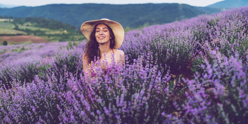 Diese Symbolik steckt hinter Lavendel! Diese Symbolik steckt hinter Lavendel!