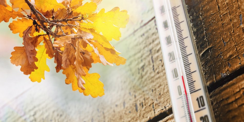 Frühling statt Advent! Jetzt kommt die Mini-Hitzewelle Frühling statt Advent! Jetzt kommt die Mini-Hitzewelle