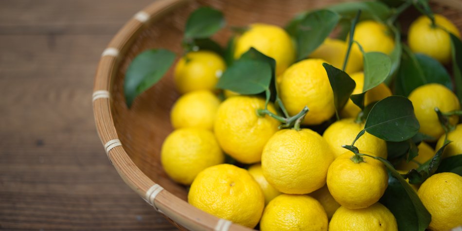 Wie gesund ist die Yuzu? Wie gesund ist die Yuzu?