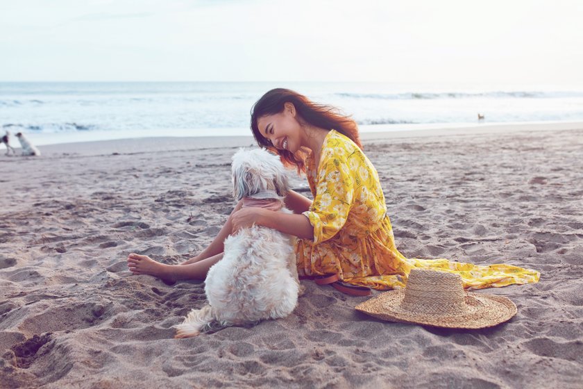 Urlaub mit Hund