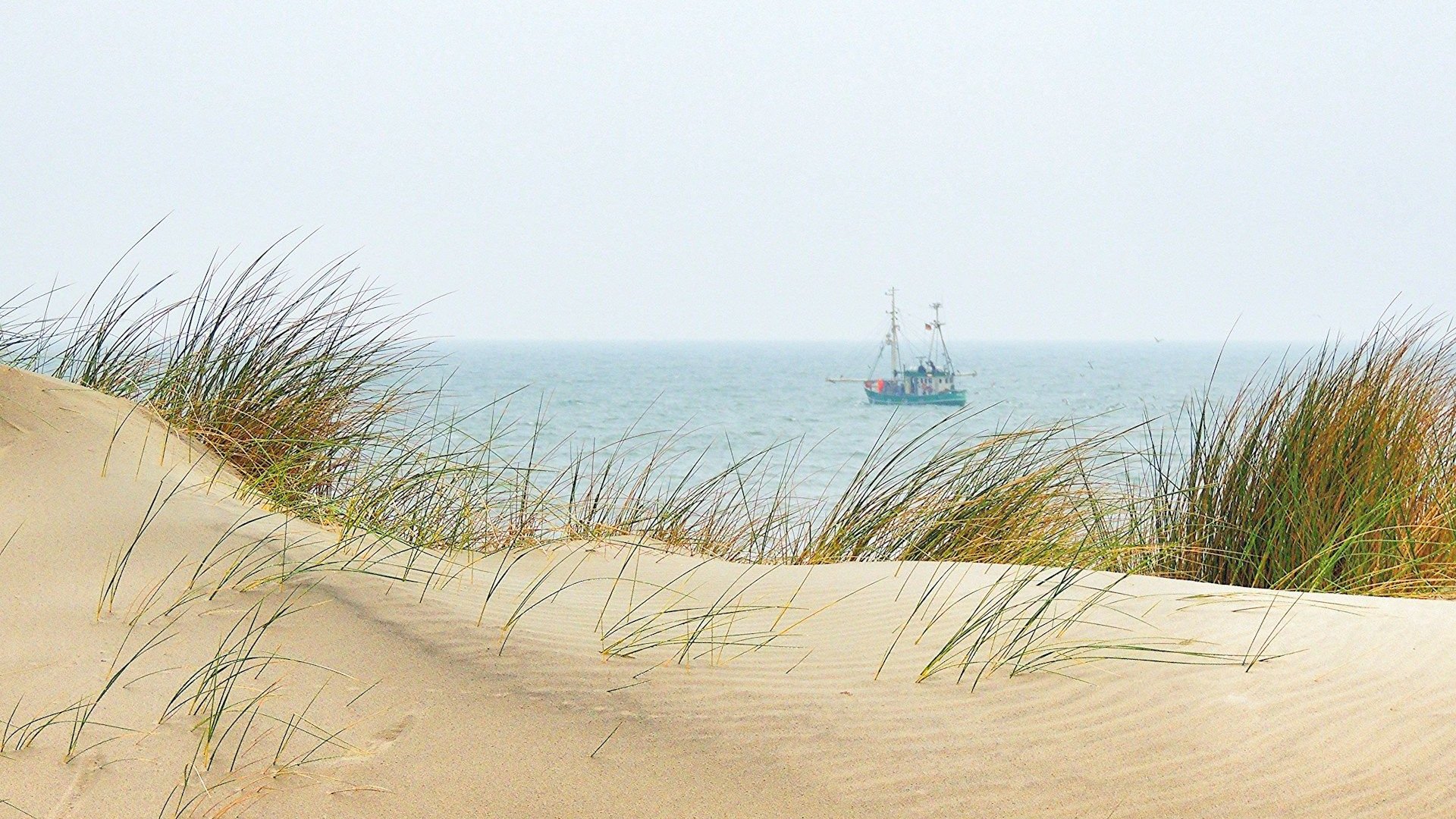 Die-5-sch-nsten-Wanderwege-an-der-Nordsee