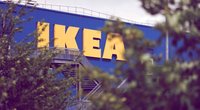 Einzigartige Deko-Idee: Dieser Ikea-Hack erschafft ein lebendiges Pflanzenbild