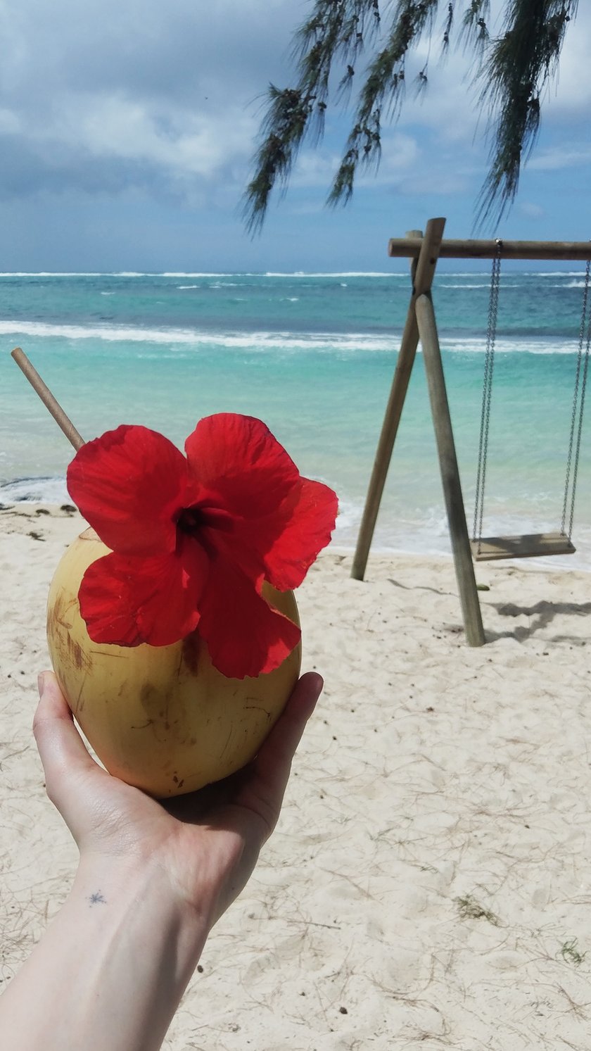 Kokosnuss Strand Mauritius Schaukel