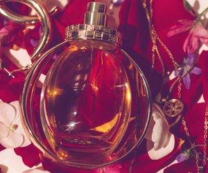 Verführerische Düfte: Dank dieser 4 tollen Parfums verdrehst du reihenweise Köpfe