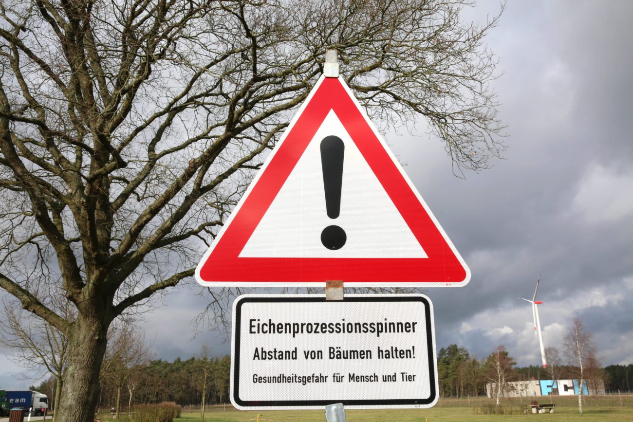 Eichenprozessionsspinner Warnzeichen Wald Bäume Eichenprozessionsspinner Warnzeichen Wald Bäume