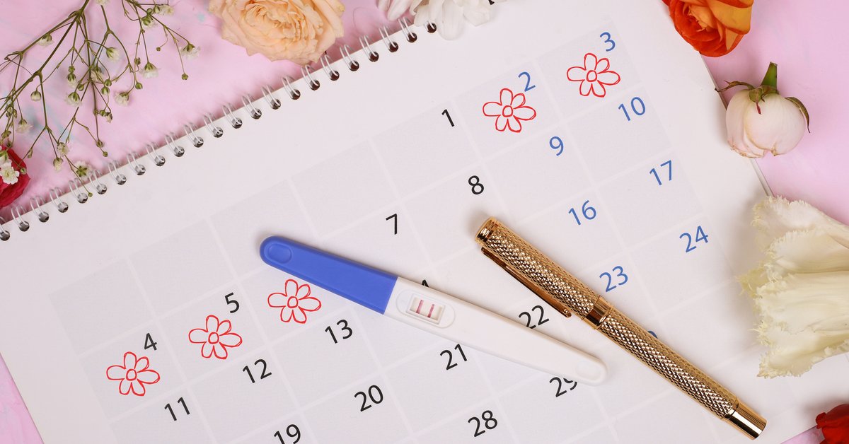 Knaus-Ogino Methode: So funktioniert die Bestimmung des Eisprungs