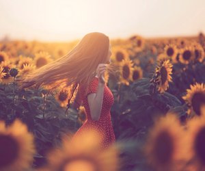 Finde heraus, welche 5 Sternzeichen im August richtig aufblühen