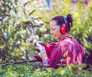 Hecke schneiden: Wann ist es erlaubt und worauf muss man achten?