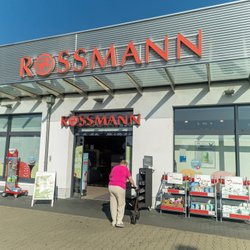 Indoor-Kräuterbeet von Rossmann: So genießen Sie frische Kräuter das ganze Jahr