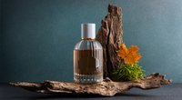 Ein Hauch von Luxus: Dieses Rossmann-Parfum riecht teuer